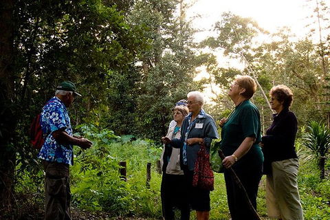 Breakfast Bushwalk Tour In Captain Cook\'s Monument - Sunshine Coast Guide 3