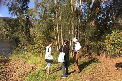Fishermans Paradise Eco-walk - Sunshine Coast Guide 1