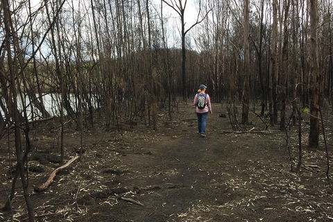 Fishermans Paradise Eco-walk - Sunshine Coast Guide 5