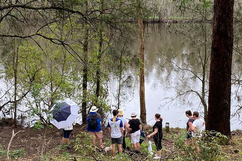 Fishermans Paradise Eco-walk - Sunshine Coast Guide 2