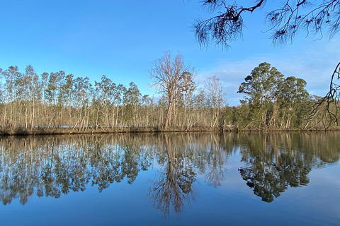 Fishermans Paradise Eco-walk - Sunshine Coast Guide 4