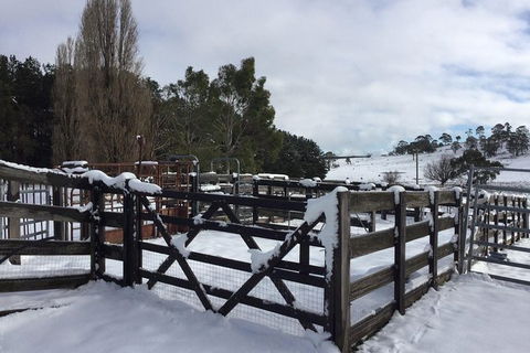 Paddock To Plate Farm Tour And Tasting - Sunshine Coast Guide 11