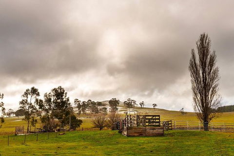Paddock To Plate Farm Tour And Tasting - Sunshine Coast Guide 0
