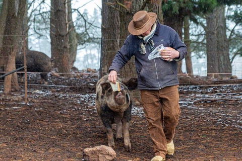 Paddock To Plate Farm Tour And Tasting - Sunshine Coast Guide 5