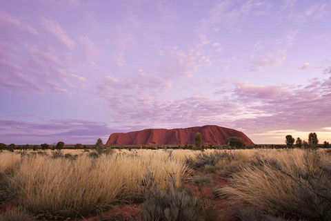 Explore Uluru: 7 Hours Guide Tour At Sunrise With Light Breakfast - Sunshine Coast Guide 4