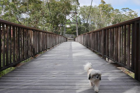 Entry Ticket At Historic Village Herberton - Sunshine Coast Guide 29