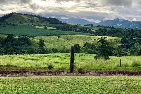 Tableland Tasting Tour - Sunshine Coast Guide 0