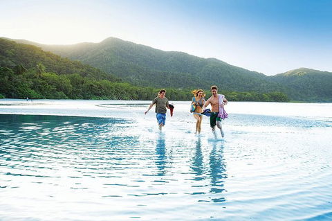 SHUTTLE - CAIRNS AIRPORT TO PORT DOUGLAS (or Reverse) - Sunshine Coast Guide 1