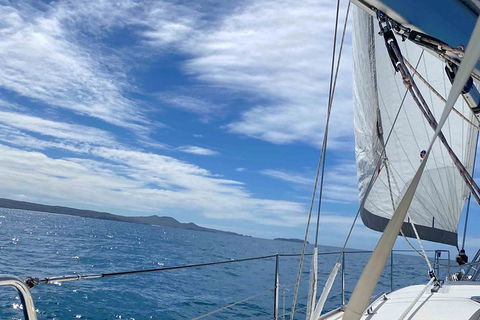 Sailing Curlew Escape On Moreton Bay - Sunshine Coast Guide 17