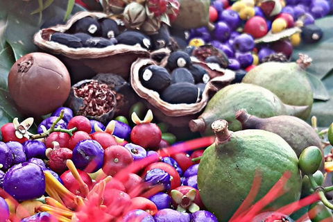 Wang\'ari Dreaming Bush Tucker Tour - Sunshine Coast Guide 0