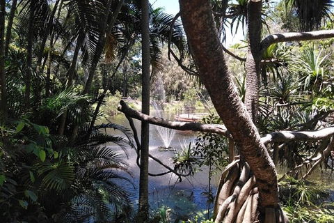 Wang\'ari Dreaming Bush Tucker Tour - Sunshine Coast Guide 4