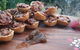 Wang\'ari Dreaming Bush Tucker Tour - thumb 2