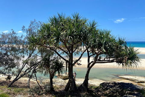 Full-Day Small Group Tour To North Stradbroke Island - Sunshine Coast Guide 6