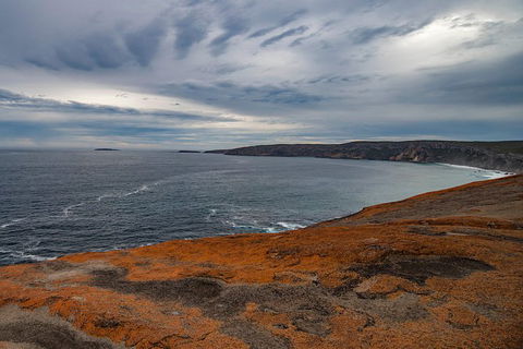 Kangaroo Island Luxury Small Group \'Flinders Chase Focus\' Full Day Tour - Sunshine Coast Guide 2