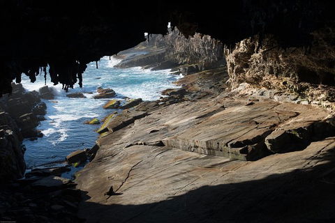 Kangaroo Island Luxury Small Group \'Flinders Chase Focus\' Full Day Tour - Sunshine Coast Guide 6