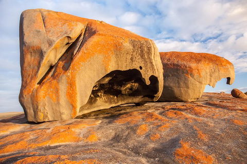 Kangaroo Island Luxury Small Group \'Flinders Chase Focus\' Full Day Tour - Sunshine Coast Guide 1