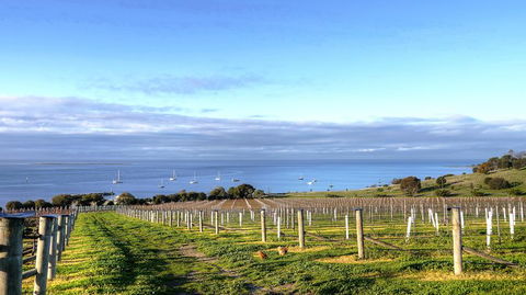 Kangaroo Island Gourmet Food And Wine Trail Tour - Sunshine Coast Guide 3