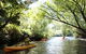 Paddle With The Platypus Twilight Kayak Adventure - thumb 0
