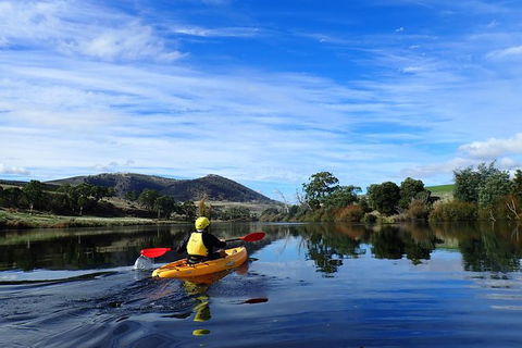 Paddle With The Platypus Twilight Kayak Adventure - Sunshine Coast Guide 5