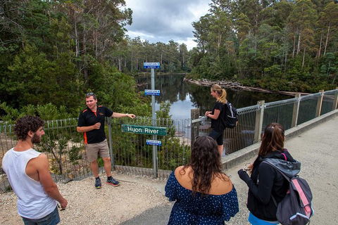 Tahune Airwalk Active Day Trip From Hobart Including Hastings Caves - Sunshine Coast Guide 3