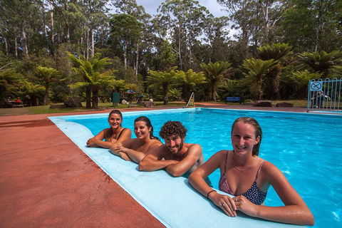 Tahune Airwalk Active Day Trip From Hobart Including Hastings Caves - Sunshine Coast Guide 4