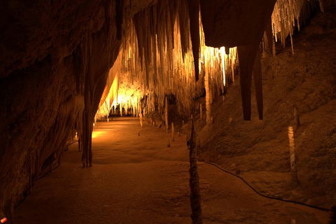 Tahune Airwalk Active Day Trip From Hobart Including Hastings Caves - Sunshine Coast Guide 8