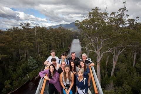 Tahune Airwalk Active Day Trip From Hobart Including Hastings Caves - Sunshine Coast Guide 1