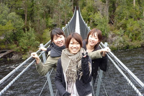 Tahune Airwalk Active Day Trip From Hobart Including Hastings Caves - Sunshine Coast Guide 7