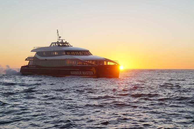 South West Wilderness TAS Sunshine Coast Guide