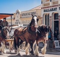 Sovereign Hill Gold Trail Experience - Sunshine Coast Guide