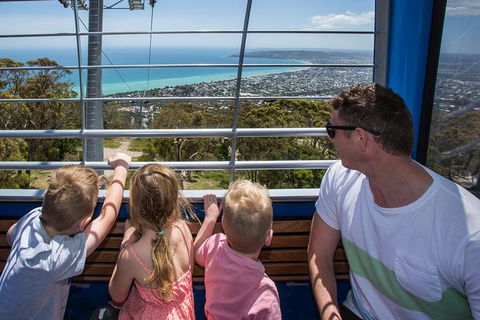 Enchanted Eagle Tour - Sunshine Coast Guide 1