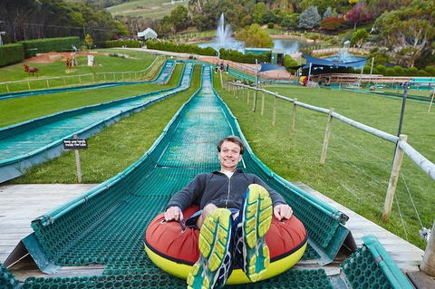 Enchanted Eagle Tour - Sunshine Coast Guide 4