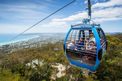 Enchanted Eagle Tour - Sunshine Coast Guide 3