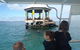 Sailing Cruise With Seals - thumb 0