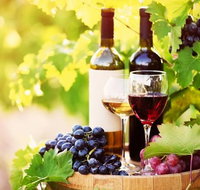 Gourmet Yarra Valley Wine and Cheese - Tasting Day Trip from Melbourne - Sunshine Coast Guide