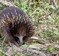 Melbourne Short Break Holiday to the Great Ocean Road  Grampians 3 Day Escape - Sunshine Coast Guide