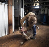 Sovereign Hill Heritage Sheep Farm Experience and Ballarat Gold Rush Day Tour from Melbourne - Sunshine Coast Guide