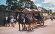 Sovereign Hill Heritage Sheep Farm Experience And Ballarat Gold Rush Day Tour From Melbourne - thumb 1
