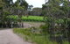 Mornington Peninsula Private Car Winery Tour.1-7 People One Car Price. - thumb 7