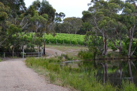 Mornington Peninsula Private Car Winery Tour.1-7 People One Car Price. - Sunshine Coast Guide 7