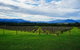Mornington Peninsula Private Car Winery Tour.1-7 People One Car Price. - thumb 3