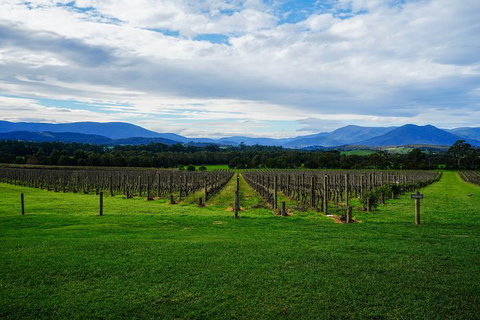 Mornington Peninsula Private Car Winery Tour.1-7 People One Car Price. - Sunshine Coast Guide 3