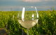 Mornington Peninsula Private Car Winery Tour.1-7 People One Car Price. - thumb 2