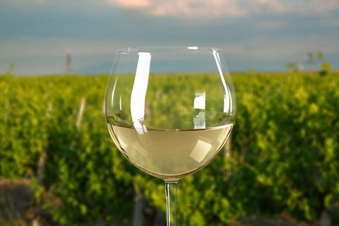 Mornington Peninsula Private Car Winery Tour.1-7 People One Car Price. - Sunshine Coast Guide 2