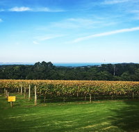 Mornington Peninsula Private Car Winery Tour.1-7 People One Car Price. - Sunshine Coast Guide