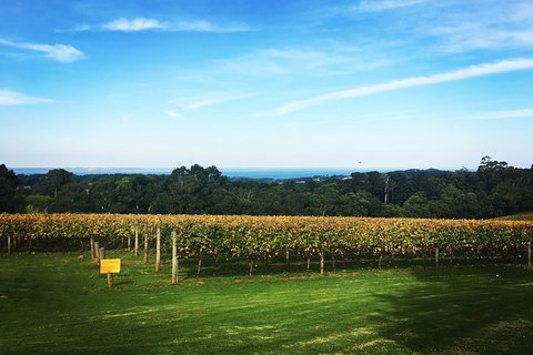 Mornington Peninsula Private Car Winery Tour.1-7 People One Car Price. - Sunshine Coast Guide 0