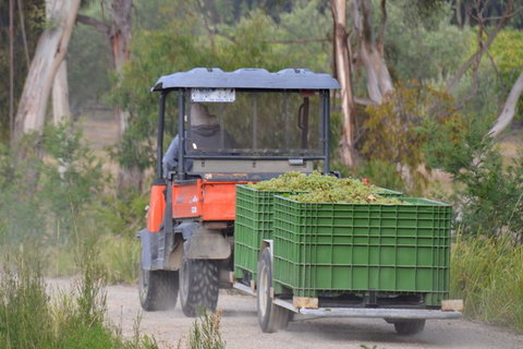 Mornington Peninsula Private Car Winery Tour.1-7 People One Car Price. - Sunshine Coast Guide 5