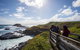 Private Day Tour Of Phillip Island Wildlife And Brighton Beach - thumb 3