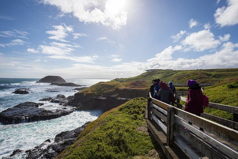 Private Day Tour Of Phillip Island Wildlife And Brighton Beach - Sunshine Coast Guide 3