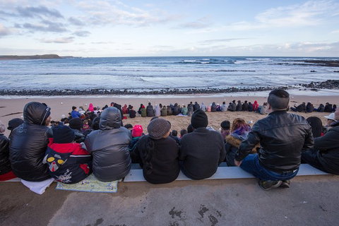 Private Day Tour Of Phillip Island Wildlife And Brighton Beach - Sunshine Coast Guide 6